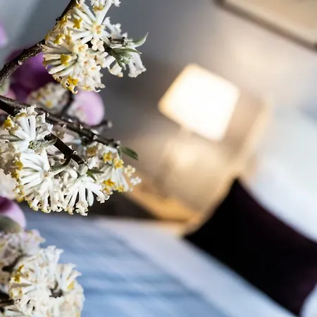 Isola Bella - Via Del Voltone 斯特雷萨