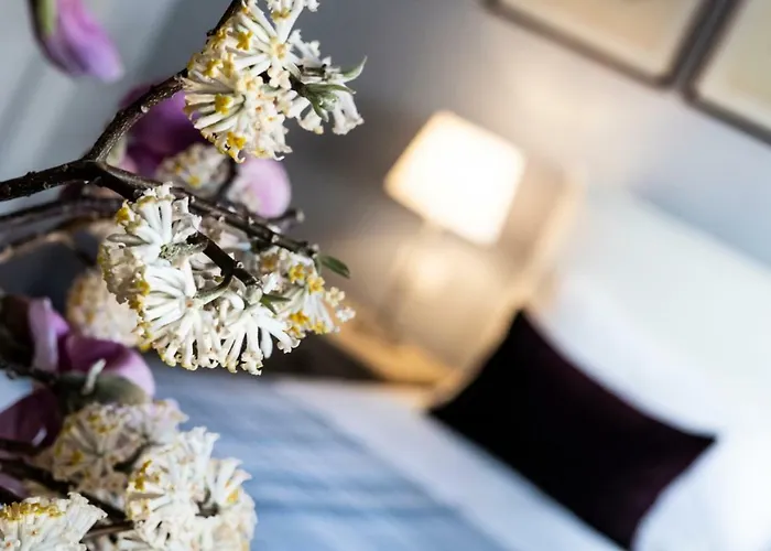 Isola Bella - Via Del Voltone Stresa